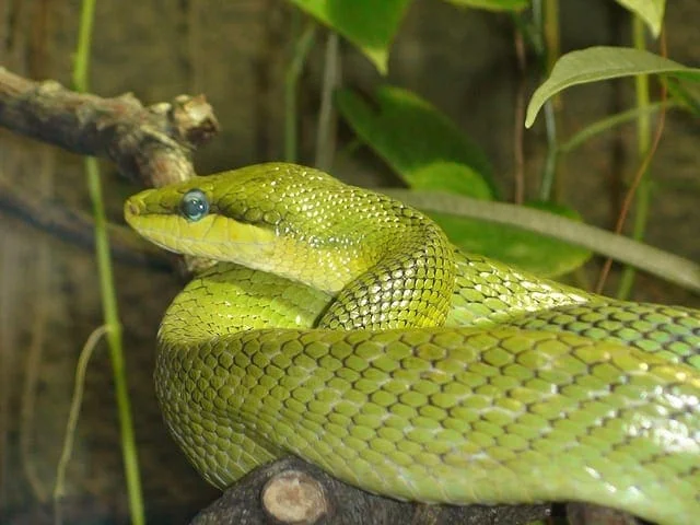 Crash Course in Python for Machine Learning Developers