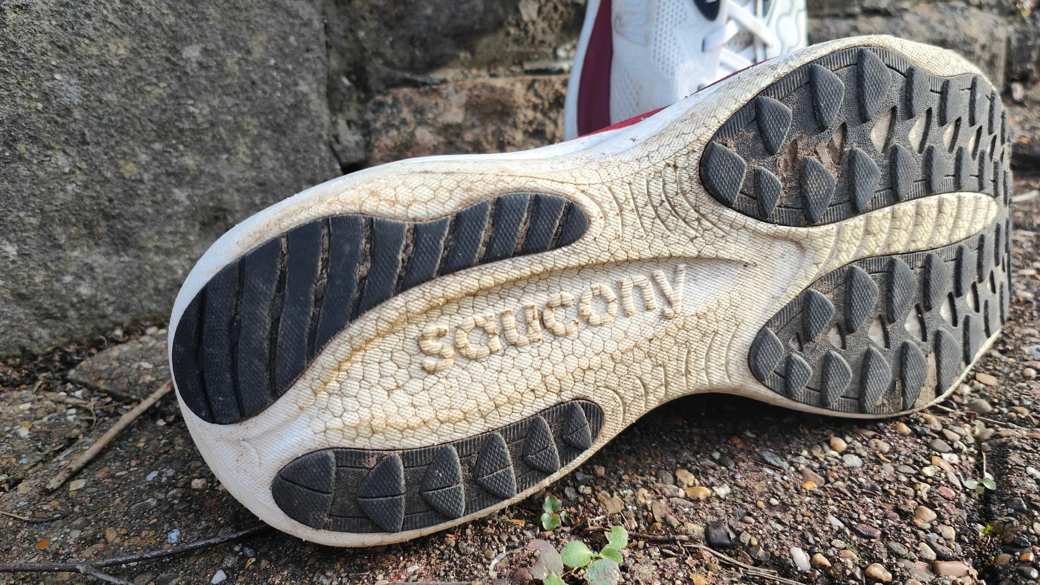 Saucony Ride 19
