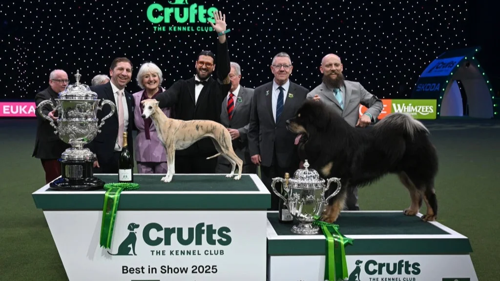 Miuccia, a whippet, poses on a podium with owner Giovanni Liguori after winning Best In Show at Crufts 2025