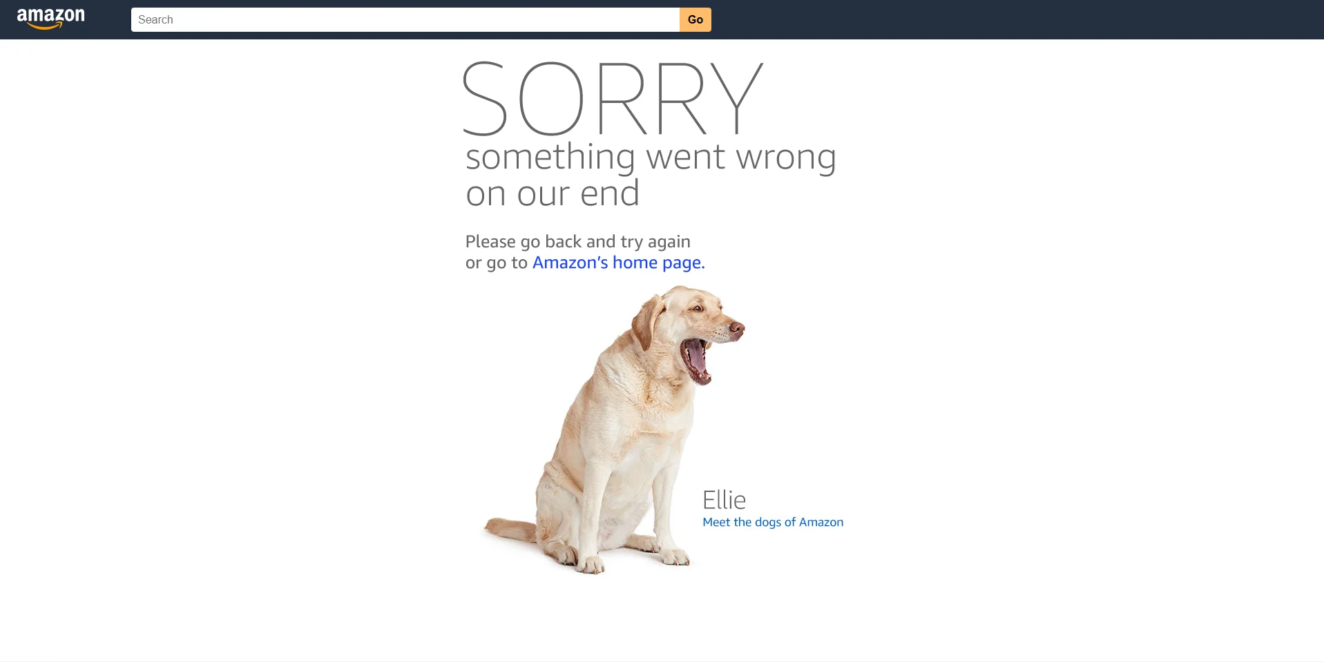 Amazon March 2026 outage.