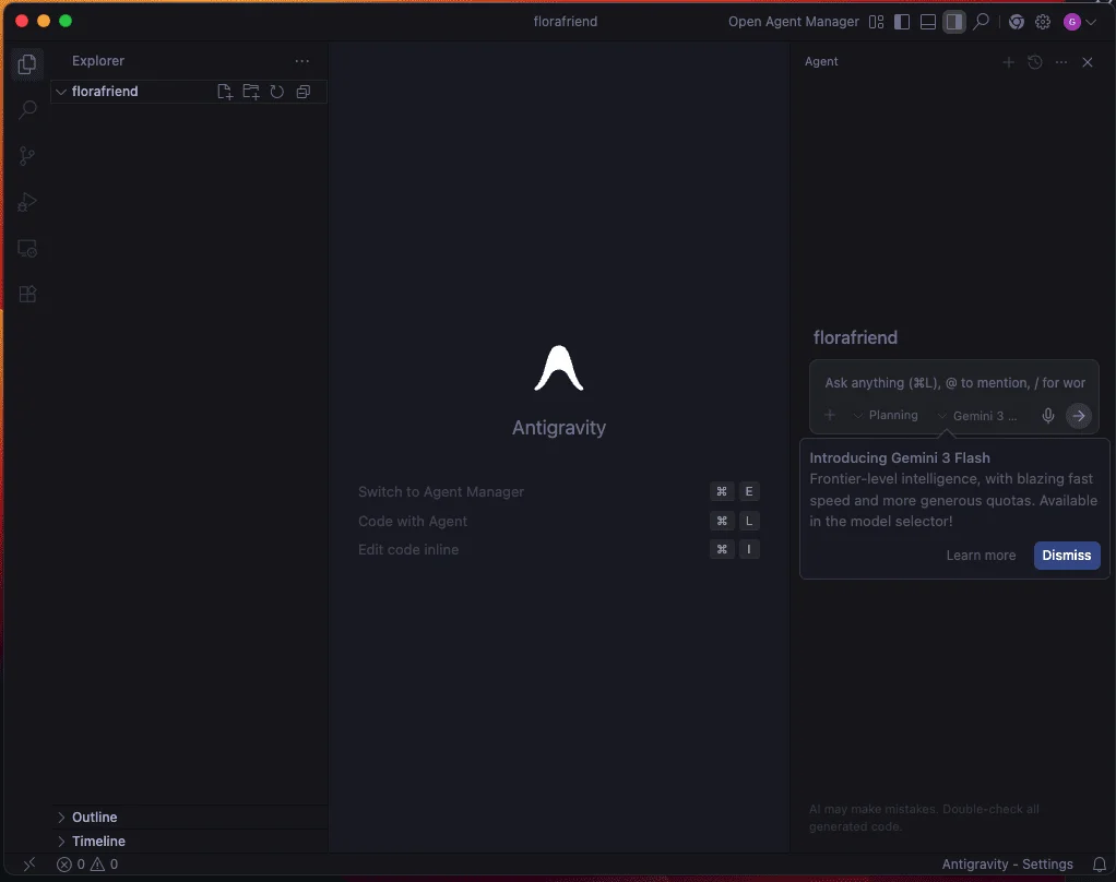First steps with Antigravity